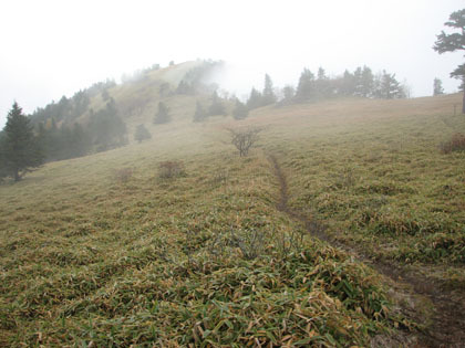 長い登り道。