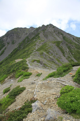 間ノ岳の鞍部から見上げた農鳥岳。