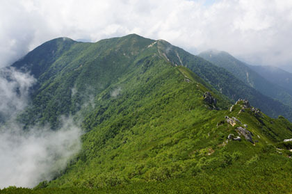 南越百岳の稜線。