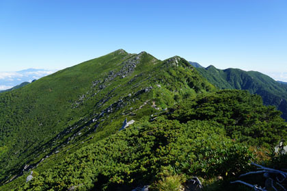 ハイマツの緑の波に白い花崗岩が浮かんでいる様に見えます。