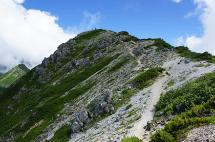 檜尾岳の山頂。