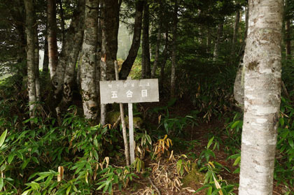 五合目と書かれていた辻山。