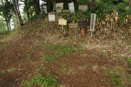 権現山の山頂。神社の跡があります。ここから桟道となるので、道がはっきりしてきます。