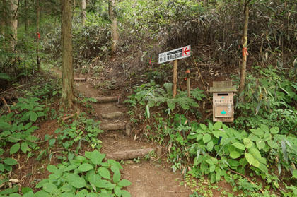 登山口。未舗装の林道に面しています。