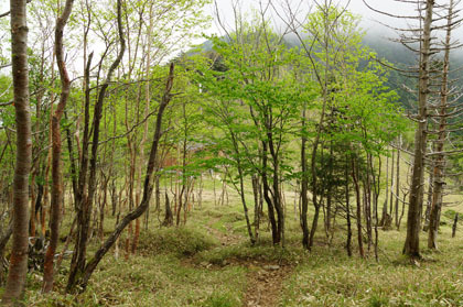 破不山避難小屋のある鞍部。