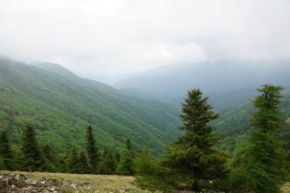 雁坂峠からの景観。