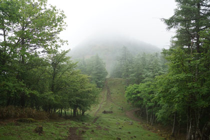 ガスで隠れている笠取山。