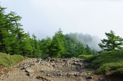 雲取山を七ツ石山の方向に下るにつれて、ガスが出てきました。