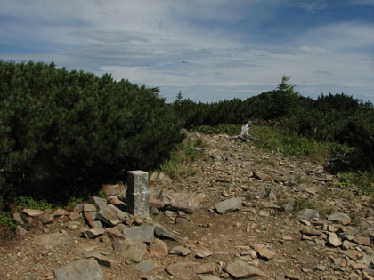 大滝山の三角点。