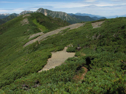 大滝山から蝶ヶ岳に延びる稜線。