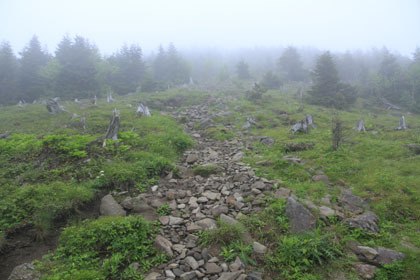 編笠山の鞍部から権現岳の登り。