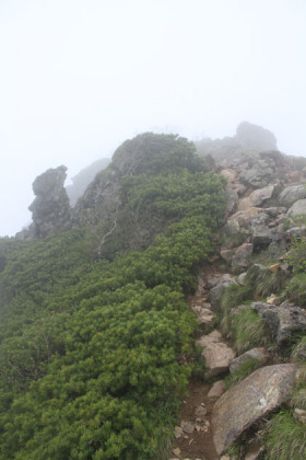 天狗岳の山頂。