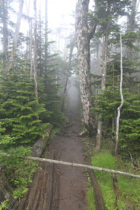 中山峠の登り。