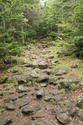 茶臼山の登り。