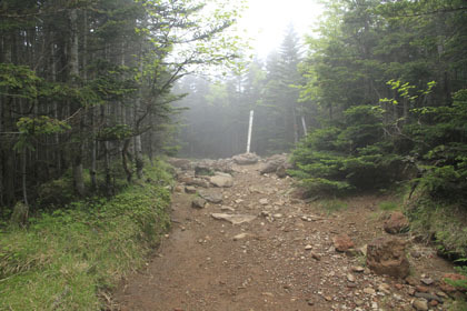 茶臼山の山頂。