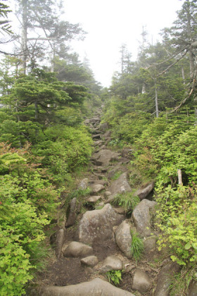 雨水で土砂が流失して岩が露呈した登山道。