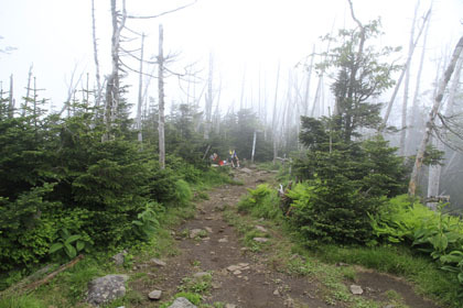 縞がれ山の山頂。