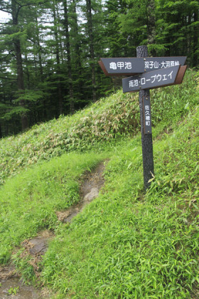 双子池の登山口。