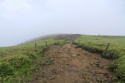 双子山の山頂付近。