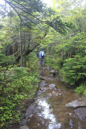 雨で川の様になった登山道。