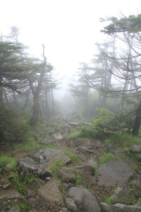 南西の登山道の急坂道。