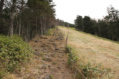 味気ないゲレンデ脇の通り道。