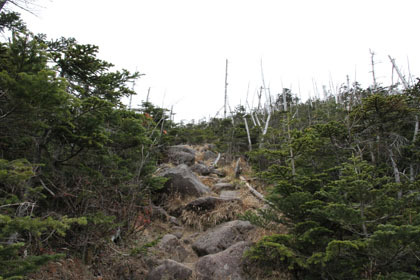 雨池山へと登ります。