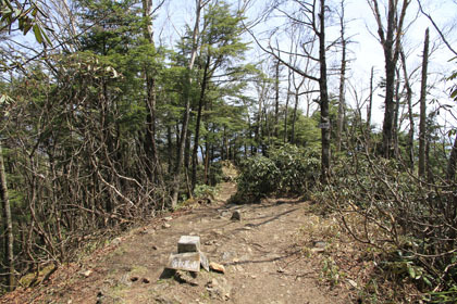 唐松尾山の頂。樹林の中にあるので眺望はありません。