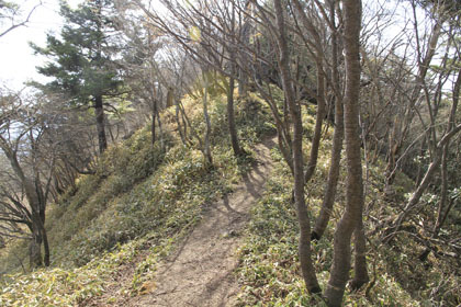笠取山に取り付く稜線。