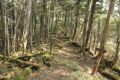 水晶山の鞍部。