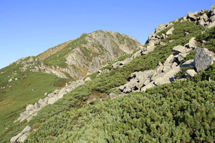 黒部五郎岳の圏谷壁の稜線に取り付きます。