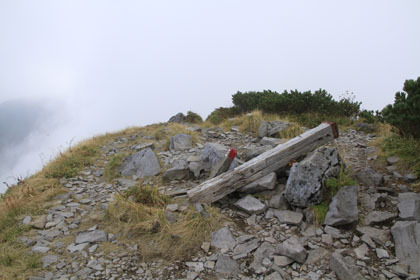 鳶山。五色ヶ原山荘のご主人に言わせると、薬師岳から縦走してくる登山者がばててへたばることの多いピークだそうです。