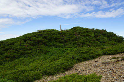 小太郎山の頂。