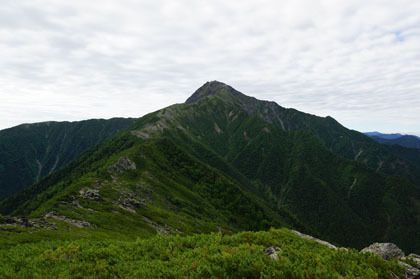 小太郎山から見た北岳。