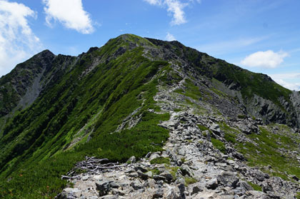 北岳山荘のある鞍部から中白根岳を見上げます。ここから間ノ岳は中白根岳の影で見えません。