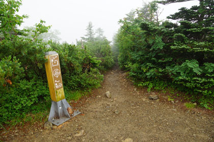 本谷山で雨に降られ、小降りになるまで休みました。