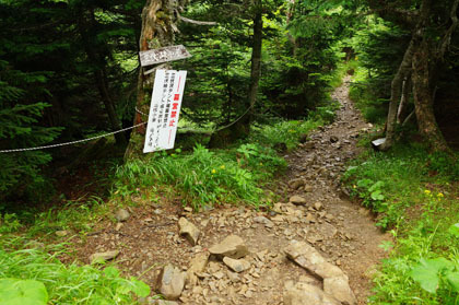 旧三伏峠小屋の水場へ下る道は、北がわは閉鎖されていました。