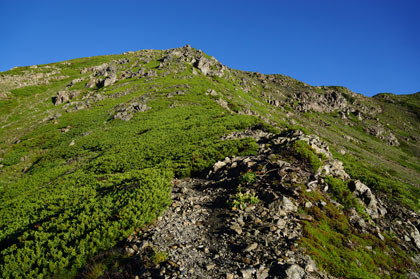 荒川前岳の登り。