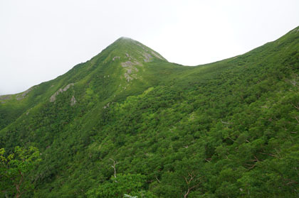 中盛丸山の登り。