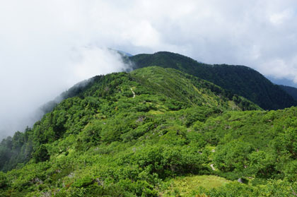 茶臼岳から光岳に続く稜線。