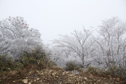 祖母山の山頂の樹氷。