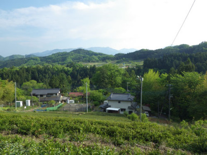 栃谷の沢筋の集落。高尾山の山稜の裏側には深閑とした集落がまだ残されています。