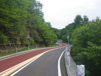 奥多摩周遊道路を歩く区間。