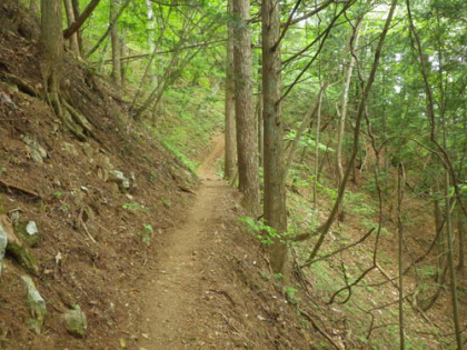 三頭山の登り道。