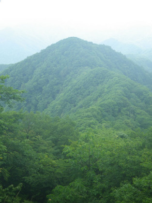 惣岳の西に延びる尾根の先に三頭山が見えます。
