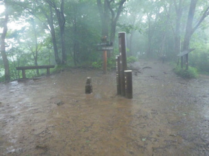 三頭山西峰にかかると、雨脚が強まり車軸の様な雨となりました。