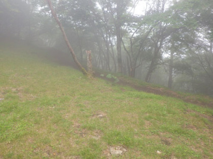 日蔭名栗山、高丸山、千本ツツジの道はかなり急な斜面を直登します。道はジグザグには切られていません。