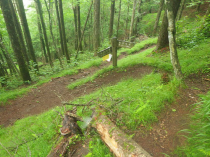 水松山（あららぎ）の山頂下で、天祖山道と出合います。