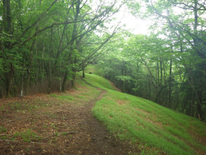 蕎麦粒山の東の防火線に道があります。