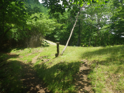 高丸山と日蔭名栗山の鞍部にある、巻道と尾根道の接点。